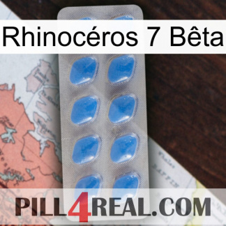 Rhinocéros 7 Bêta 22